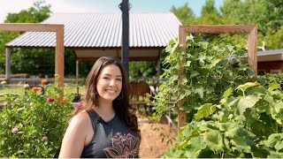 DIY Garden Trellis Solutions for Climbing Vegetables [upl. by Tsuda]