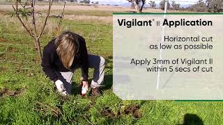 Vigilant II Herbicide Gel  cut stump application [upl. by Araz]