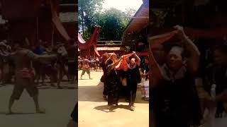 Mapalao ritual pemakaman Rambu Solo [upl. by Hoyt]