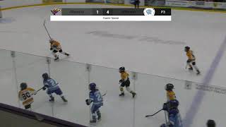 Waconia vs Bloomington Jefferson White [upl. by Gautea171]