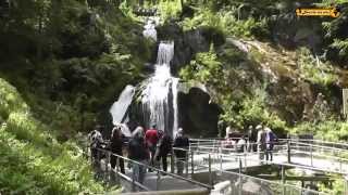 Triberger Wasserfälle Wasserfall Waterfall Black Forest Schwarzwald [upl. by Allesiram]