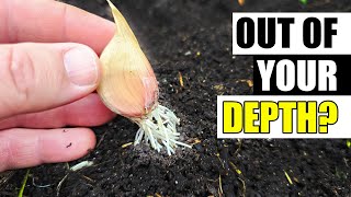 Garlic Planting Depth and Mulch Thickness Garden Quickie Episode 223 [upl. by Aynotahs]