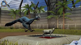 Showcasing Brand New Rinchenia Jurassic World The Game [upl. by Enwahs]