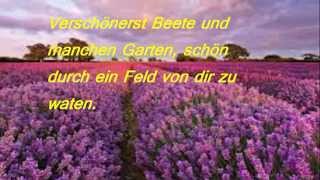 Mein vierzehntes Gedicht  Der Lavendel [upl. by Slosberg]