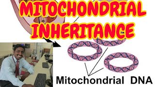 MITOCHONDRIAL INHERITANCE  TAMIL EXPLANATION [upl. by Eillod]