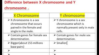 Difference between X chromosome and Y chromosome [upl. by Cj]