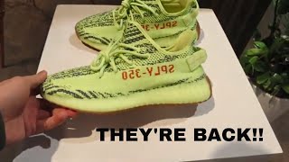 ADIDAS YEEZY FROZEN YELLOW NIKE SB PURPLE LOBSTER VLOG [upl. by Kerry]