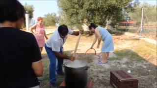 How to make trahanas Τραχανά 2015 [upl. by Leraj277]