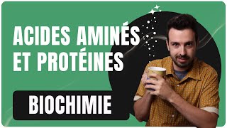 COURS DE BIOCHIMIE LES ACIDES AMINÉS [upl. by Ibib]