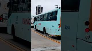 Empresa de transporte coletivos Viamão Ltda 8254📸 CECÍLIA PROTÁSIO FIEL PERIMETRAL PARADA 36 POA RS🫶 [upl. by Ansell]