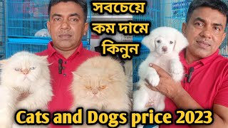 Katabon animal market in bangladesh Lhasa Apso Dog price in 2023  Persian cat price in 2023 gsd [upl. by Dier800]