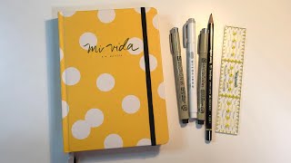 Setup  Enero 2020 bullet journal minimalista [upl. by Ihsakat362]