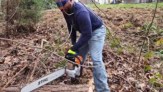 The Lawn Company  Stihl MS362c Win  Fail Chainsaw vs Foot [upl. by Sallie734]