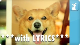 Carly Rae Jepsen  Call Me Maybe  Corgi Rae  Pet Parody with Lyrics [upl. by Suolevram]