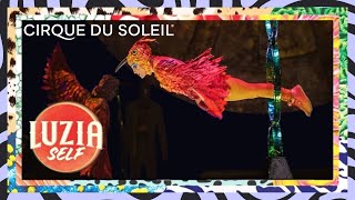 LUZIAself  Hoop Diving  Episode 1  by Cirque du Soleil  Cirque du Soleil [upl. by Fonz]