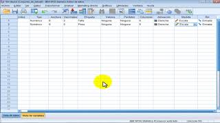 Spss Básico Ingreso de Variables [upl. by Aicerg]