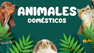 ¡Descubre los Sonidos de los Animales Domésticos 🐶🐱🐰  Aprende y Diviértete  El recreo TV [upl. by Pruchno]