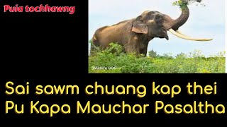 Pu Kapa Mauchar Pasaltha Sai sawm chuang kap thei chanchin ngaihnawm [upl. by Fachini]