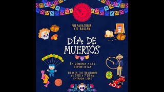 Altares del festival de día de muertos [upl. by Hoang]