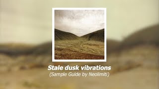 The Caretaker  Stale dusk vibrations Sample Guide [upl. by Delilah]