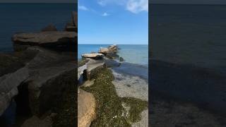 Jetties Beach nantucket beach travel enjoynantucket [upl. by Allistir965]