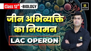 Regulation of Gene Expression  Lac Operon  Class 12 Biology  NCERT  Krishnakant Sir [upl. by Newra]