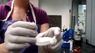 Recrystallization Part I CHEM2050 [upl. by Janel]