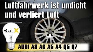 Luftfahrwerk ist undicht und verliert Luft Audi A8 D3  air suspension leaking [upl. by Ahsiram]