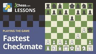 The Fastest Checkmates in Chess [upl. by Oiril]