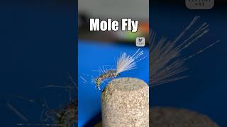 Mole Fly Easy Fly Tying Guide [upl. by Sadella]