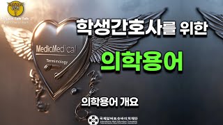 👩‍⚕️ 학생간호사를 위한 의학용어 개요 🩺  기초부터 시작하는 의학용어 강의  AI 기술 활용 [upl. by Ittocs]