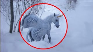 Amazing fact discovery 2018 Real unicorn caught on camera [upl. by Ekalb]