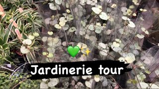 Jardinerie Tour Épisode 1 Ceropegia Woodii et hoya kerii 😍 [upl. by Amling]