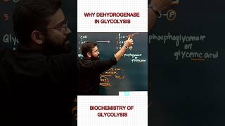 Dehydrogenase  Glycolysis  Respiration  Dr Niladri Deb  ​⁠factionbio1166 [upl. by Llertnod]