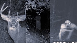 4 True SCARY Camping Stories That Are CREEPY AS HELL  Cryptids Wendigo Skinwalker Horror Stories [upl. by Phio]