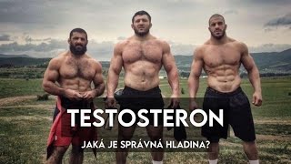 TESTOSTERON Správná HLADINA nefunkční medicína [upl. by Ariahaj]