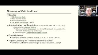 Criminal Law II Substantive Criminal Law  Constitutional Restraints on the Law [upl. by Htennek654]