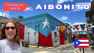 Aibonito PUERTO RICO La Ciudad de las Flores I Zennys Adventures [upl. by Lynnea]