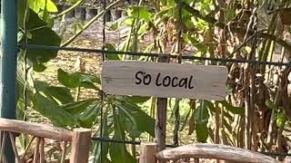 Soneva Jani Maldives  So local American restaurant  hotel tour [upl. by Dorcas]