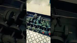 biceps workout ytshort youtube shorts viralvideo bicepsworkout [upl. by Zetra]