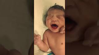 Cute baby neonate is irritable pediatrician baby cutebabies children cutebaby pediatrics [upl. by Sualkin]