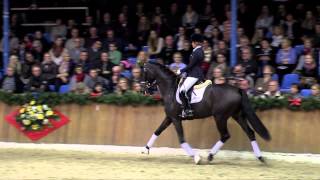 Florenz  Sosath Stallion Show 2014 [upl. by Hoj]