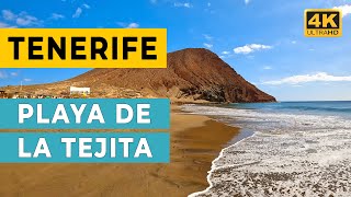 TENERIFE Playa de La Tejita  Nude Beach Walk 4K Ultra HD [upl. by Camey]