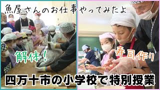 「魚屋さんの仕事を学ぼう！小学校でマグロの解体・寿司作りの特別授業」20241030 [upl. by Hurty257]