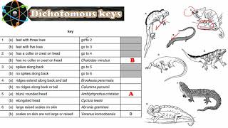 Dichotomous Keys Biology IGCSE [upl. by Mercer]