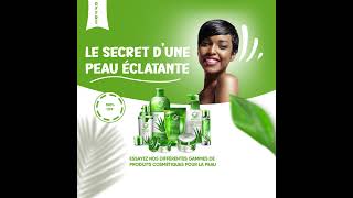 Comment Animer Une Affiche Publicitaire [upl. by Assil]