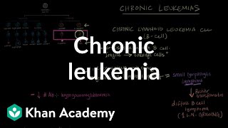 Chronic leukemia  Hematologic System Diseases  NCLEXRN  Khan Academy [upl. by Ameer732]