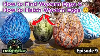 🔥Wyvern ka egg Chura liya ☺️  How to Hatch Wyvern All Types Egg in Ark Ragnarok Episode 9 [upl. by Valerio925]