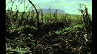 The Great Famine  Part 1 of 2 BBC 1995 [upl. by Federico]