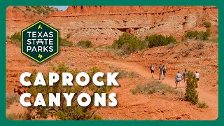 Caprock Canyons State Park [upl. by Jeu799]